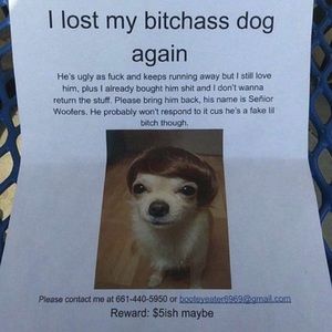 Meet your Posher, Aaron